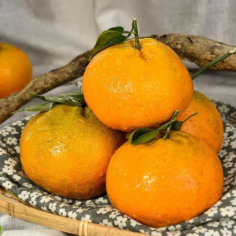 勇者无惧应季整箱春见时令柑橘新鲜水果四川粑粑柑好吃吗，味道怎么样？