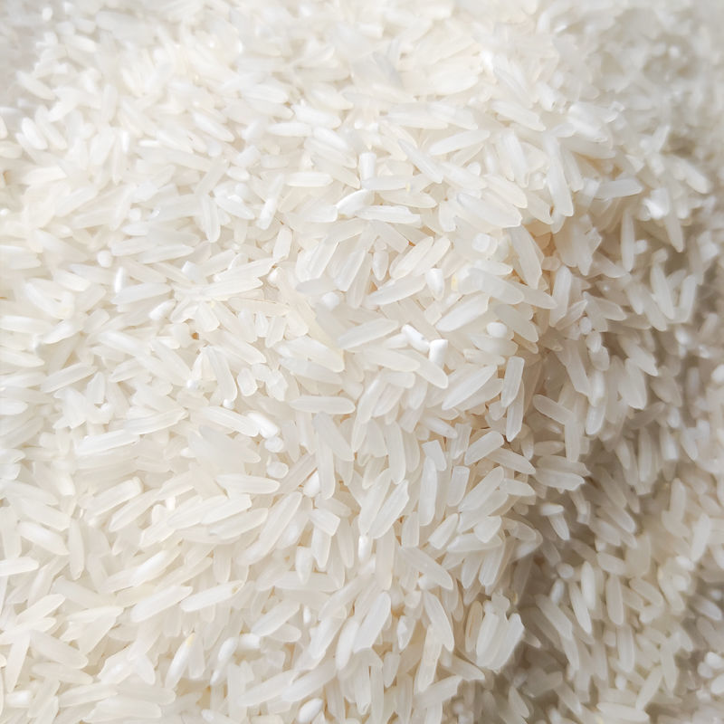 十里馋湖南传统好米猫牙米10斤新米哲农大米真空籼米农家口感好5kg