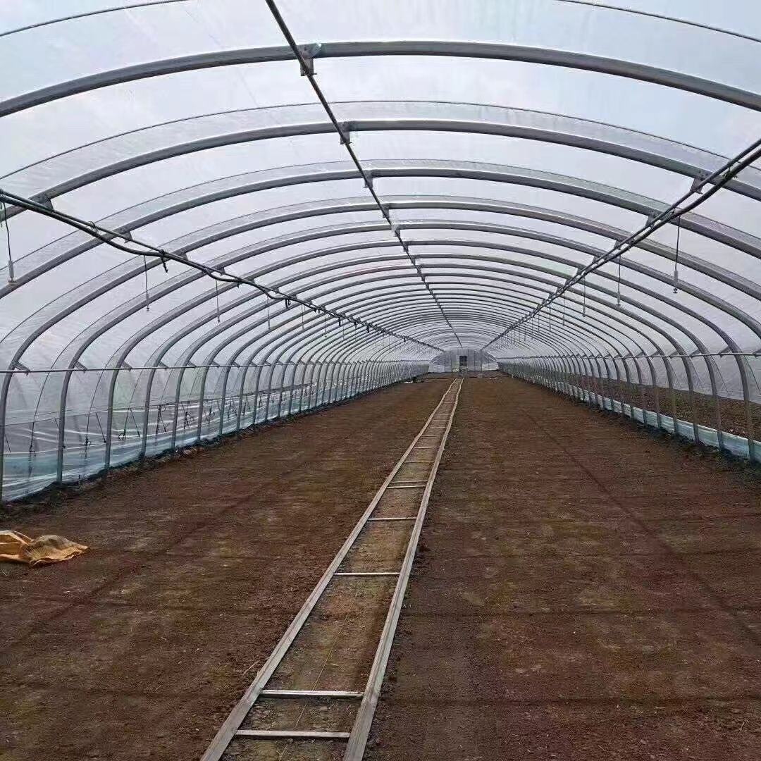 养殖大棚建设全指南：从设计选材到造价预算，一篇讲清