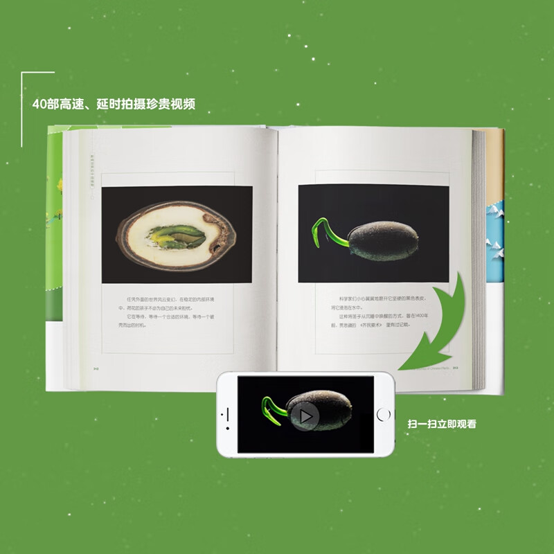 影响世界的中国植物（纪录片同名科普图文版，董卿、周国平、曾孝濂、王石联袂推荐）