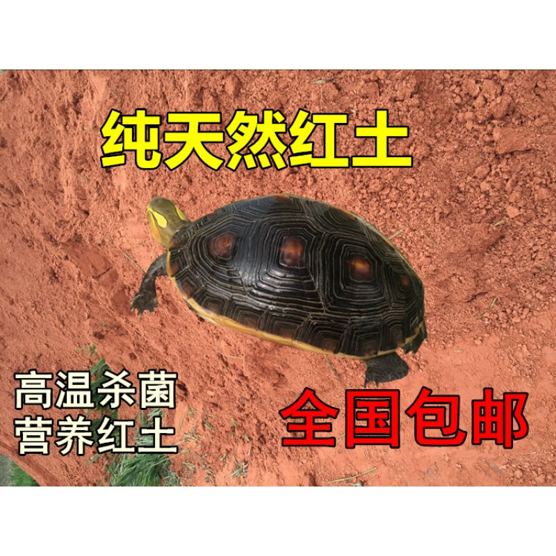 如何查京东爬宠用品最低价格|爬宠用品价格走势图