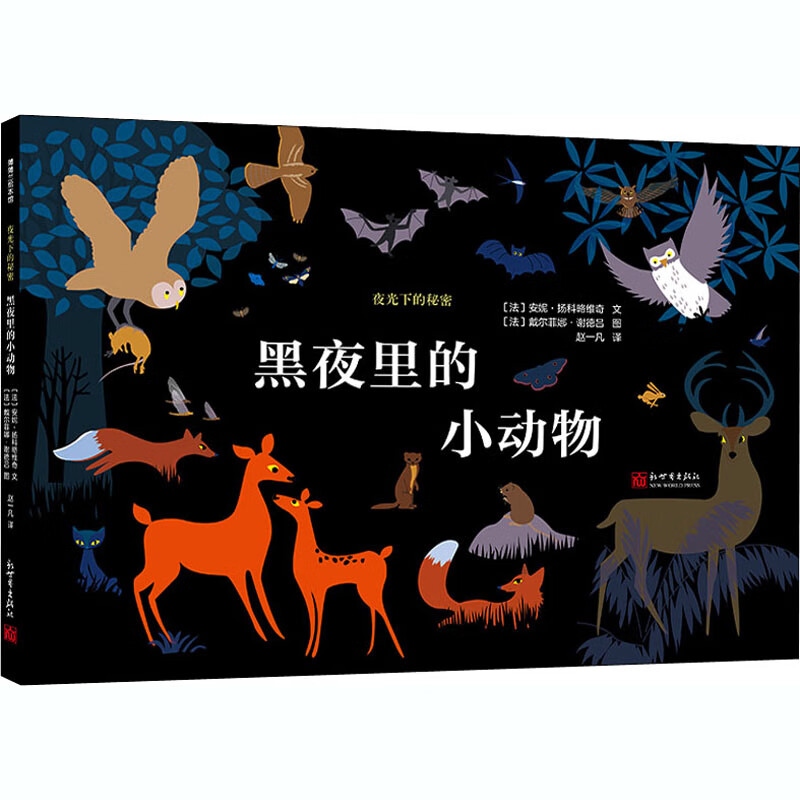 黑夜里的小动物