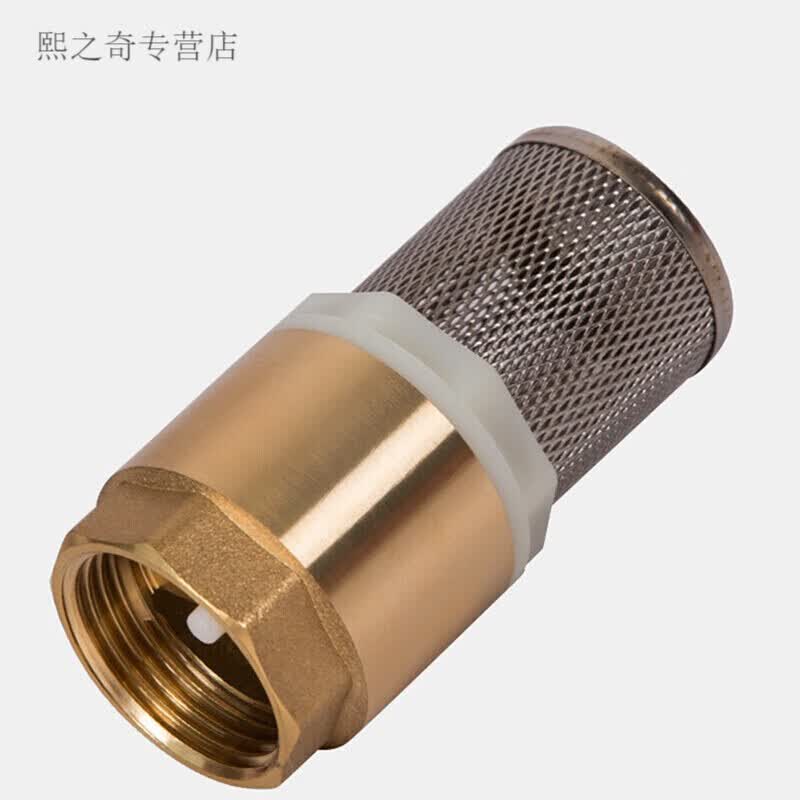 适之自吸泵底阀止回阀带不锈钢过滤六分铜抽回水阀单向逆止阀花 定制