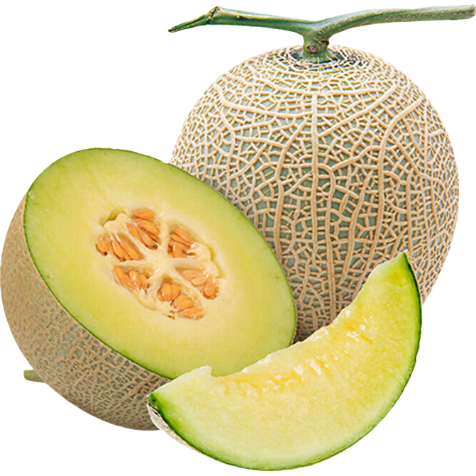 ������ ���ƹ� 2��װ ����5-6�� ����2���� Դͷֱ������ 39.9Ԫ