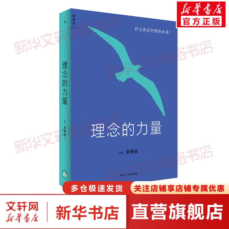 理念的力量 图书