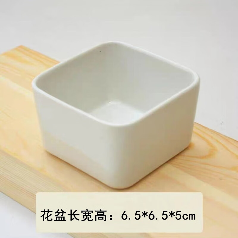 两腿跑多肉陶瓷盆白色方形陶瓷盆马卡龙花盆多肉专用盆桌面办公绿植