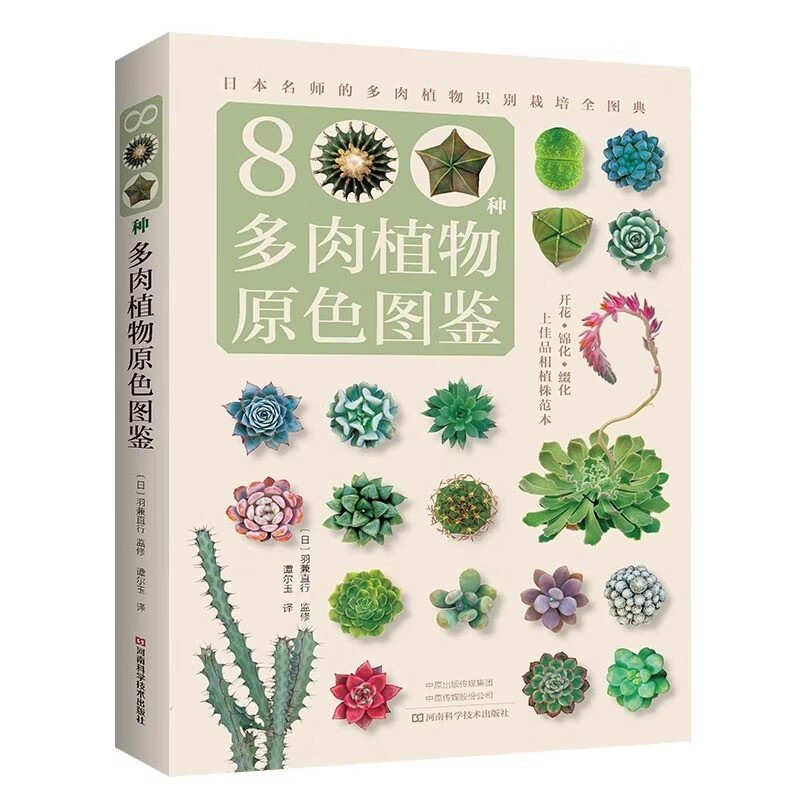 植物书院：自然的智慧与静谧之美