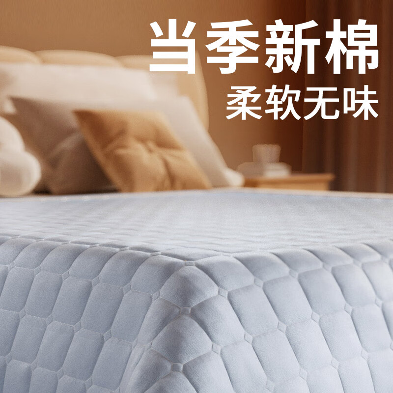 荣事达水暖电热毯水循环水暖毯双人水电褥子水热毯水暖炕安全加热床垫 速热不上火+除螨【0.9*1.8m】