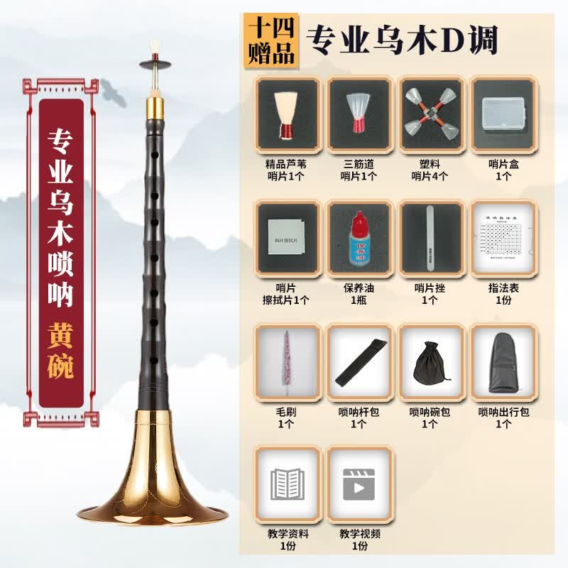 新艺（xinyi）优选乌木唢呐专业演奏型民间喇叭成人乐器初学者大小号喇叭 优选乌木D调黄碗+14件套怎么看?