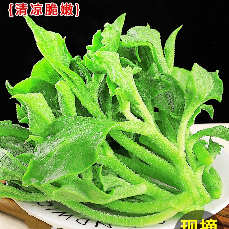 鲜小京新鲜冰草5斤蔬菜当季火锅即食生吃沙拉菜凉拌水晶冰菜 2斤