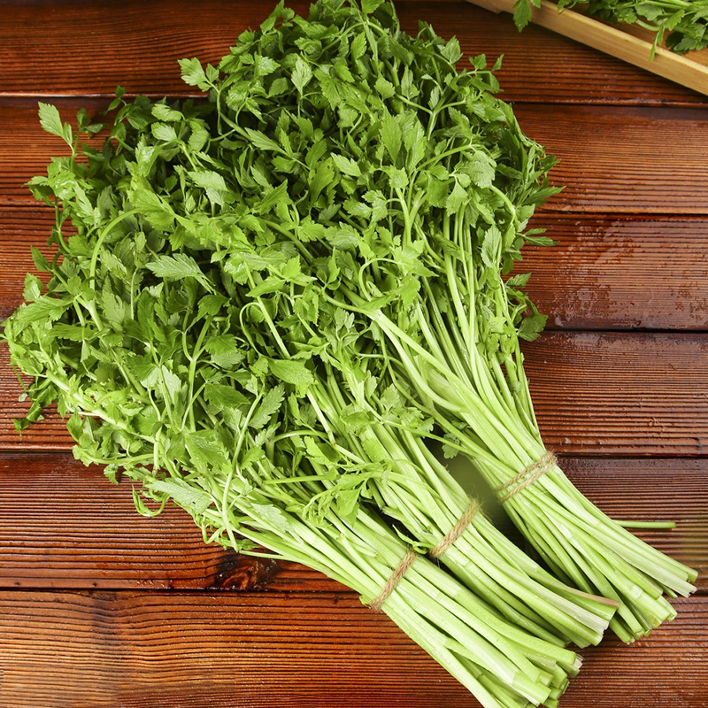 东北野生水芹菜包饺子山野菜新鲜当季时令蔬菜 500g