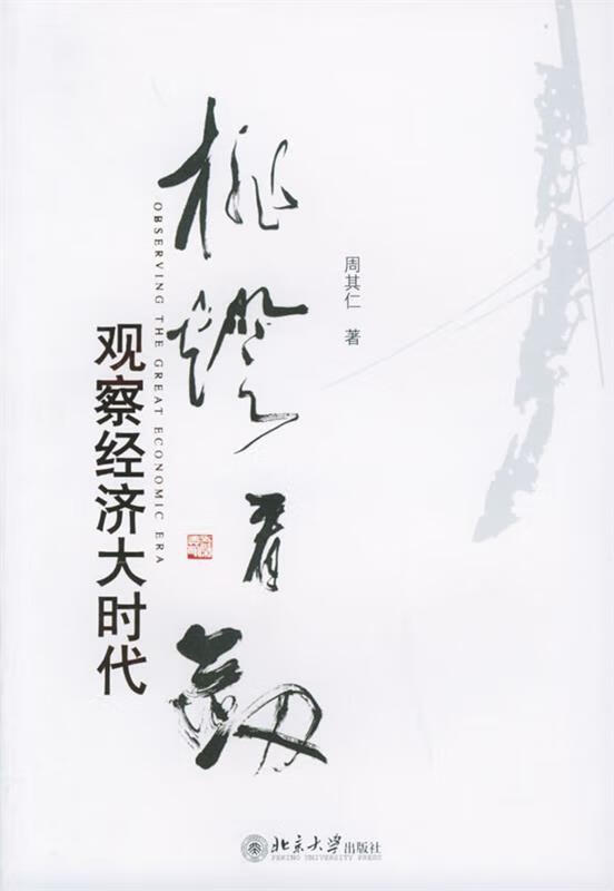 挑灯看剑:观察经济大时代【正版好书，下单速发】