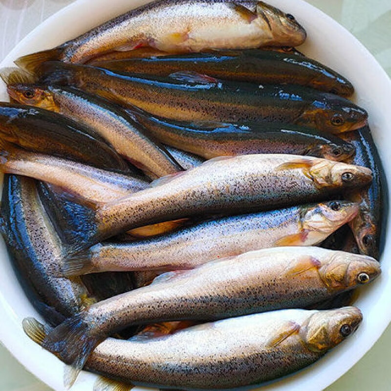 lism柳根鱼东北黑龙江省特产冷水鱼鲜活速冻新鲜小杂鱼 大号3斤装