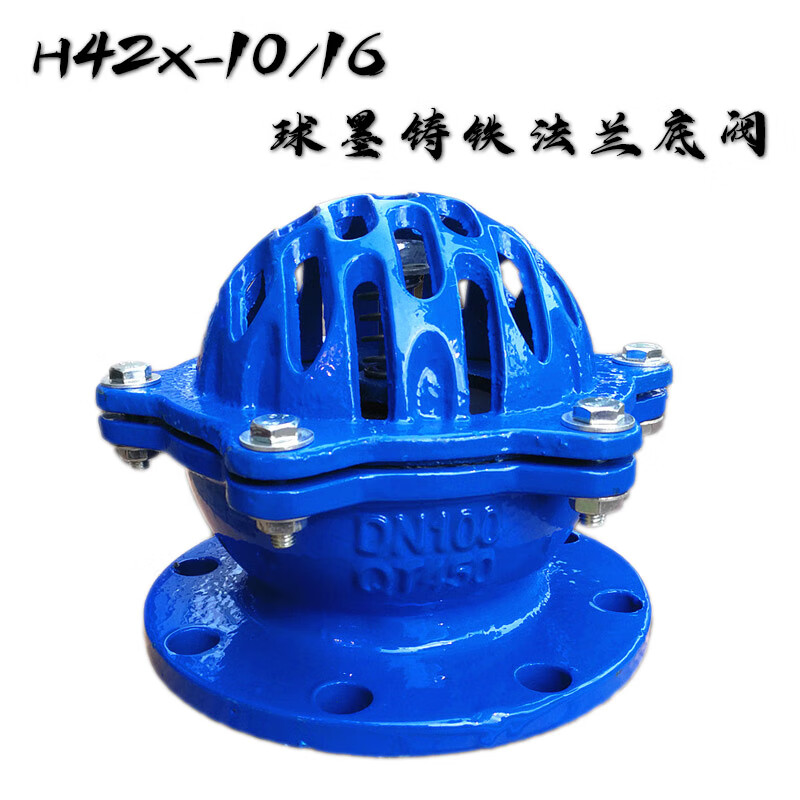 施韵令球墨铸铁法兰底阀花篮头水泵底阀抽水头消声底阀单向阀h42x