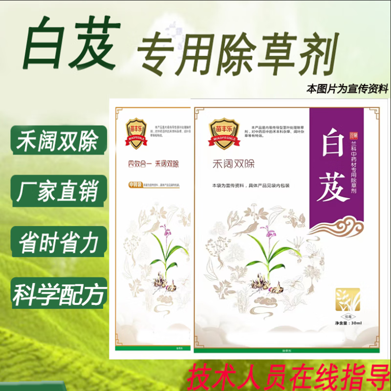 瑞邦高盖除草剂 白芨苗后专用除草剂 禾阔双除成熟配方厂家直销量大从