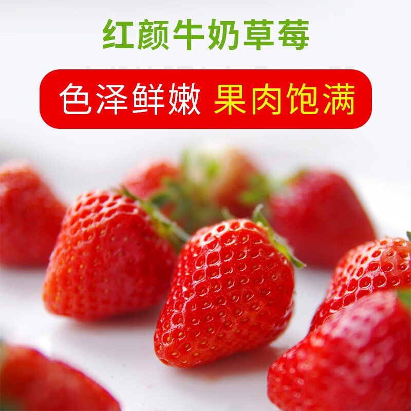 草莓不仅口感绝佳，而且营养价值极高的“星澕”品牌|草莓报价走势