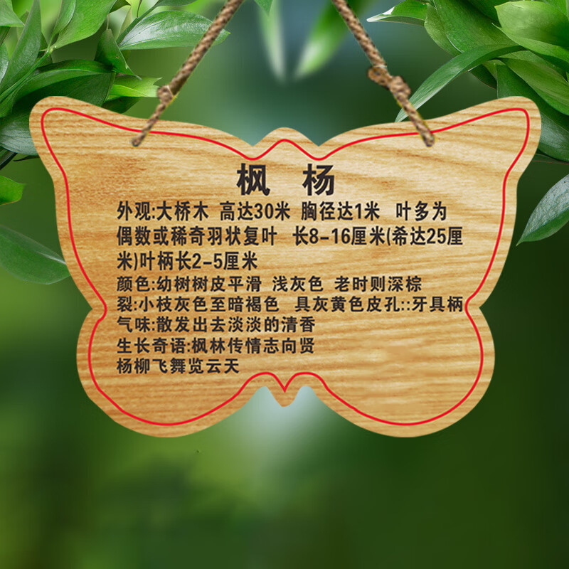 山顶松 花草标识牌 亚克力树牌挂牌 定制树名信息 名称介绍铭牌 景区