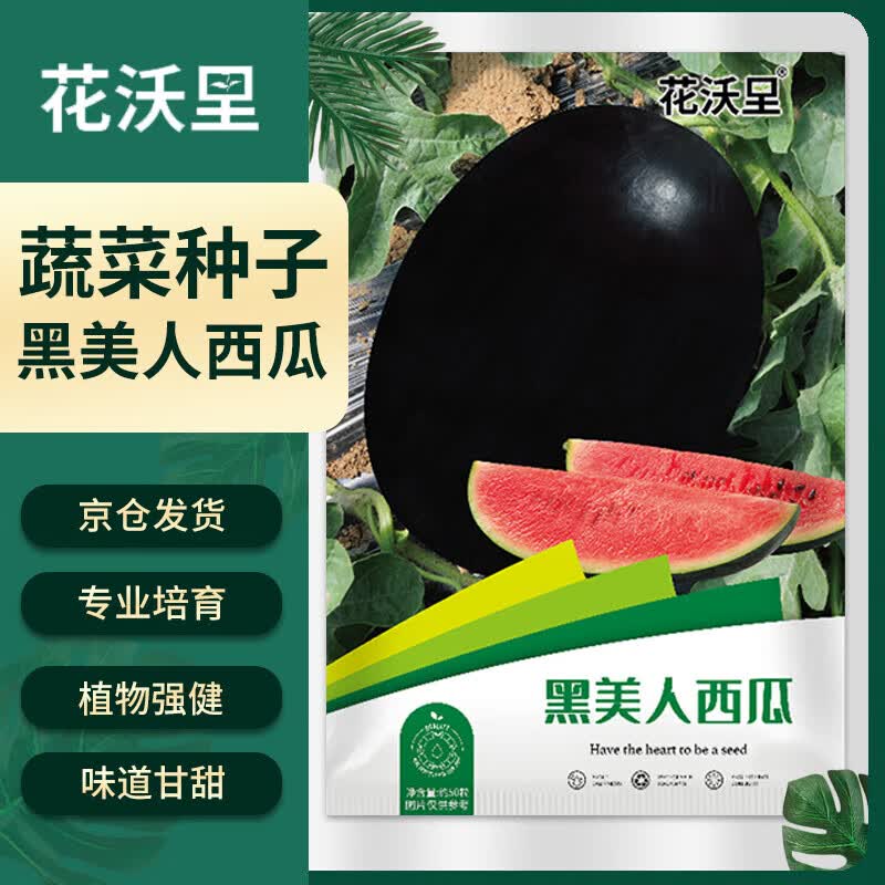 花沃里黑美人西瓜种50粒 蔬菜种子阳台花盆西瓜盆栽种菜土庭院田间种植