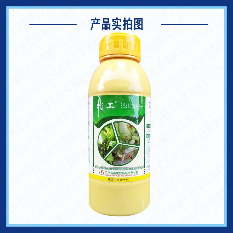 农泰梢工6%乙氧氟草醚 捎工砂糖橘杀梢专用控梢剂生长调节剂500ml 500