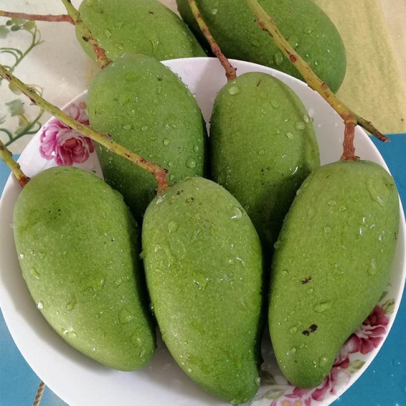 云南普洱新鲜现摘生吃酸脆爽青芒果生吃绿色芒果芽配蘸水孕妇水果 200