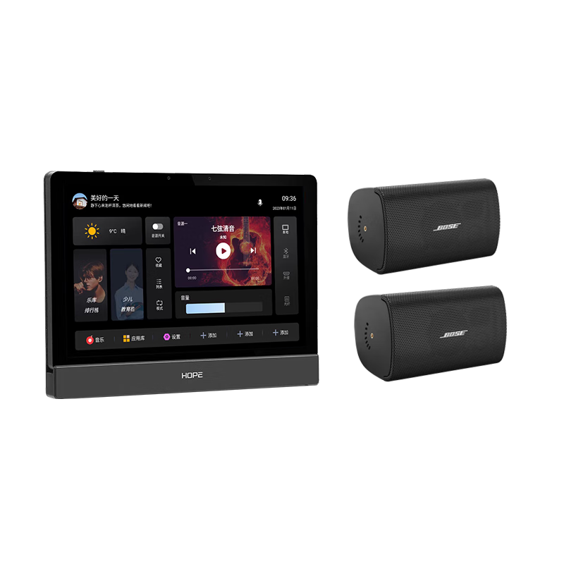 Bose吸頂音響家庭背景音樂(lè )套裝WIFI智能家庭影院音響組合嵌入式音箱主機藍牙 壁掛音箱2只+定制P10主機HOPE+低音HOPE