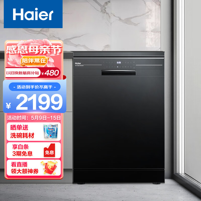 Haier 海尔 EW139166BK 独立式洗碗机 13套 黑色