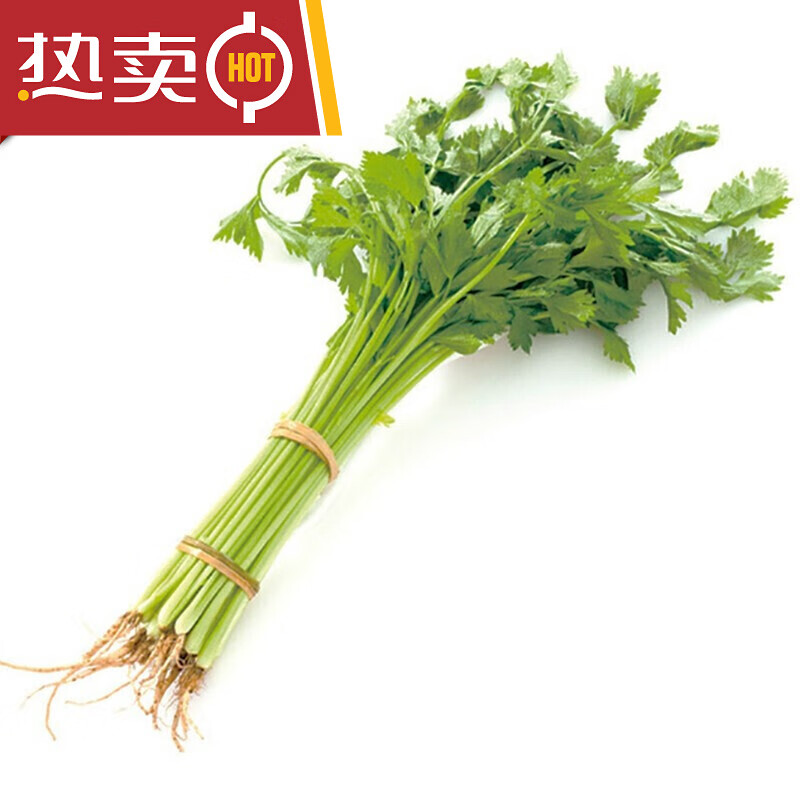 妮姬山东新鲜小香芹芹菜小香芹嫩空芯农家青菜当季蔬菜 2斤