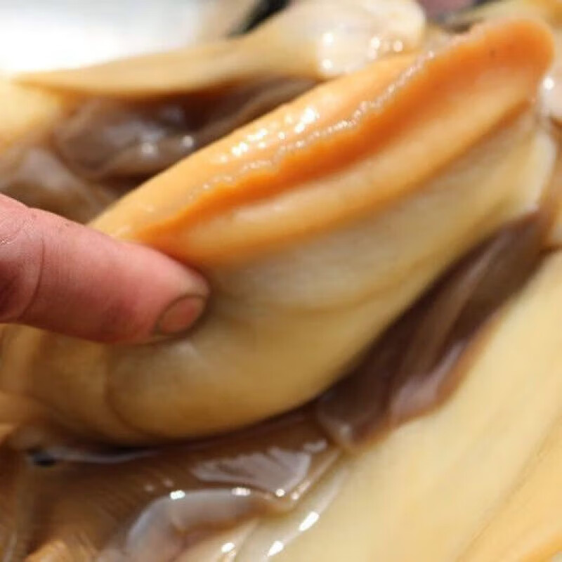 虎钢馋河蚌肉去壳去腮新鲜野生淡水特大小河蚌活体蚌现杀河歪 【4斤】