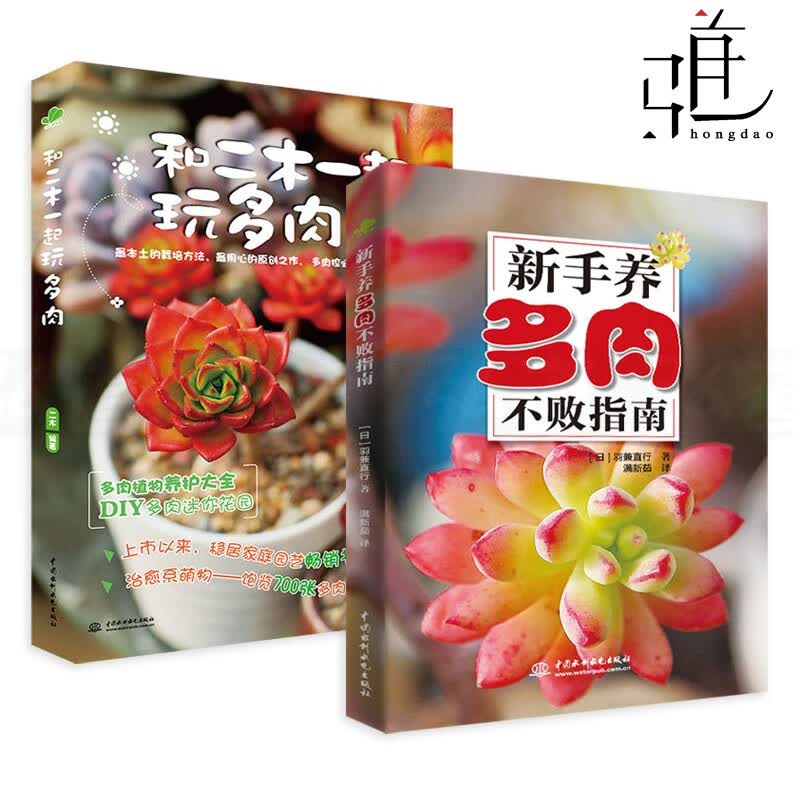 2册 新手养多肉不败指南+和二木一起玩多肉 组合盆栽搭配技巧 多肉种植栽培与养护知识大全 养花书籍 零基础园艺 多肉植物庭院造景