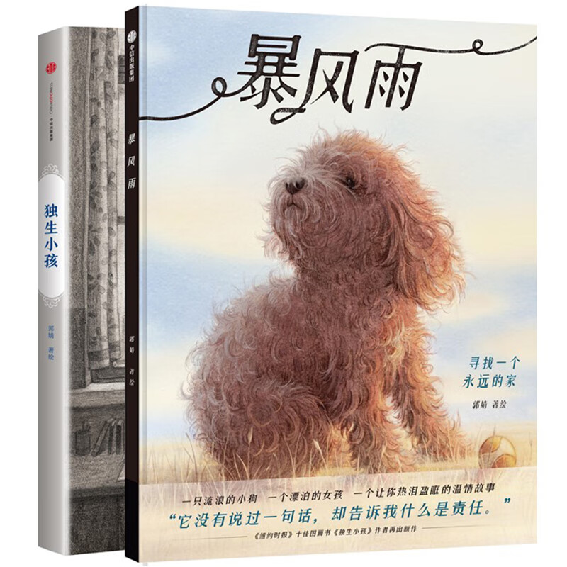 暴风雨 独生小孩(《纽约时报》情感教育绘本套装精装2册)【包邮】