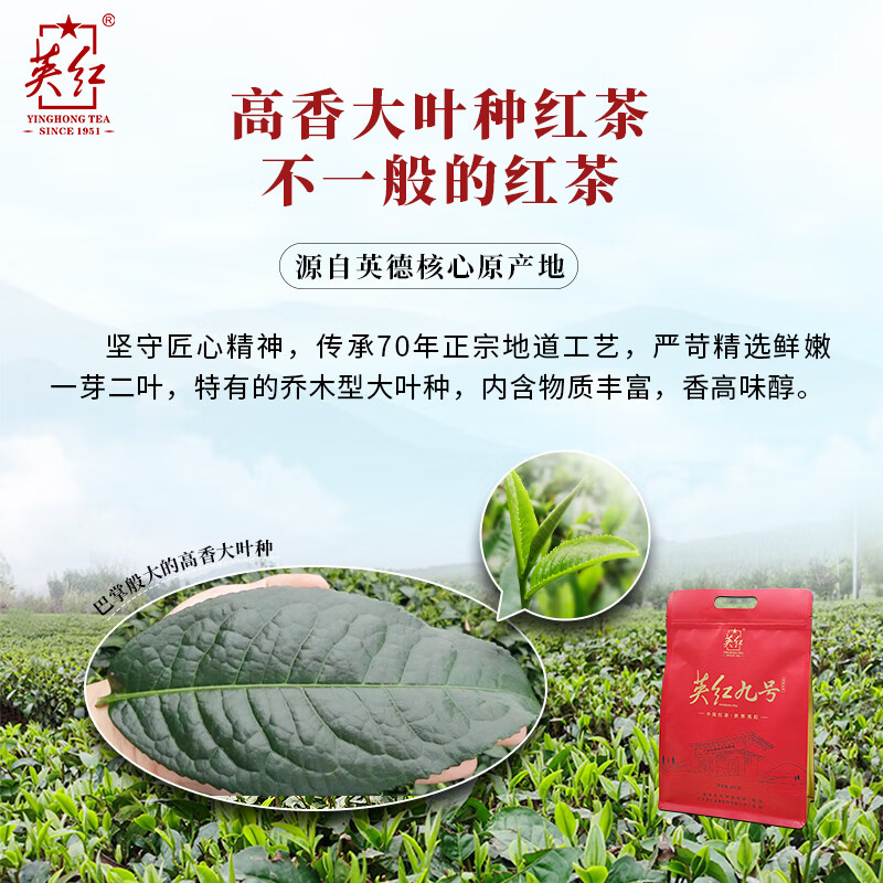英红牌英红九号红茶核心原产地大份量自饮口粮茶袋装红茶250g功夫红茶