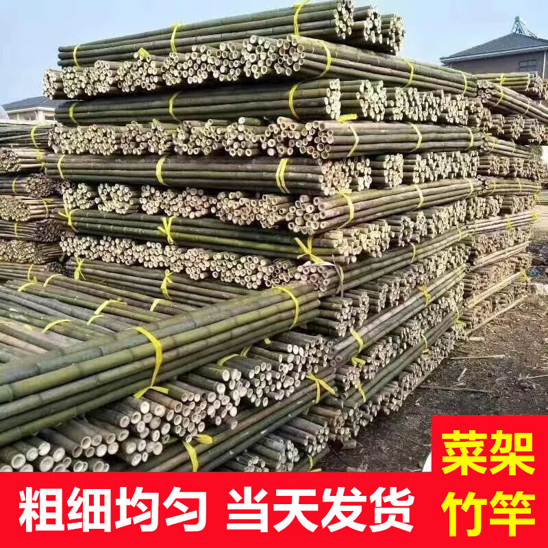 智宙竹竿菜園搭架戶外竹桿架種菜彩旗桿豆角架黃瓜架菜架小竹子細竹竿 豆角架1.5厘米左右粗2米長50根