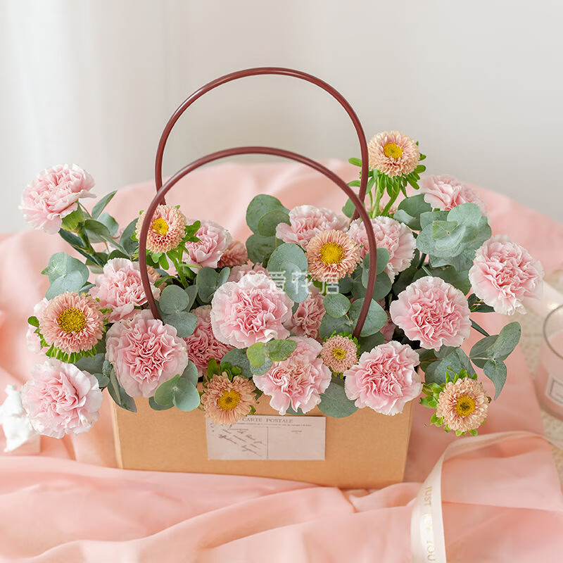 愛花居鮮花速遞花禮康乃馨真花束生日送媽媽長輩鮮花禮物同城配送當(dāng)日達 【手提花籃】20朵康乃馨|Q26