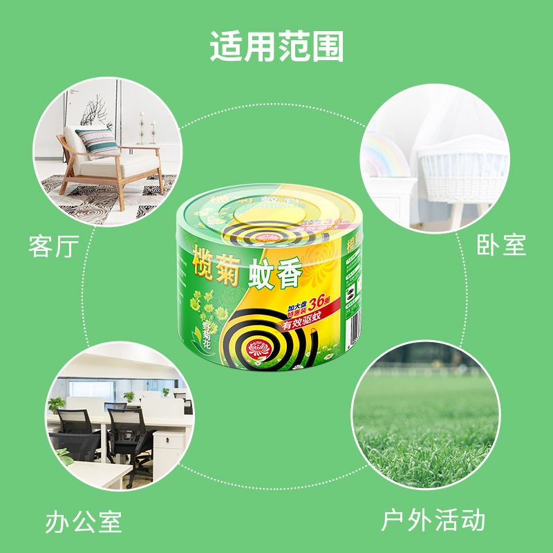 榄菊蚊香 艾草清香 家用加大盘驱蚊香40盘 驱蚊防蚊香室内桶装防蚊片 艾草清香型 40圈 1桶