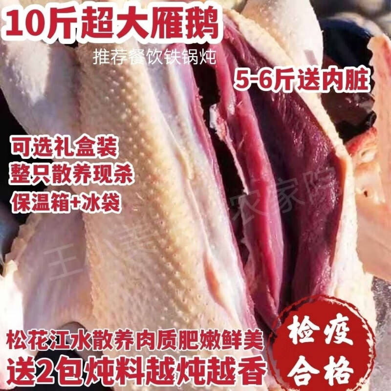 新鮮鵝肉大白鵝超大10斤大鵝散養(yǎng)大鵝老鵝整只鵝雁鵝瘦肉帶 整只現(xiàn)殺(普通裝)保溫箱+冰袋 9-10斤凈重