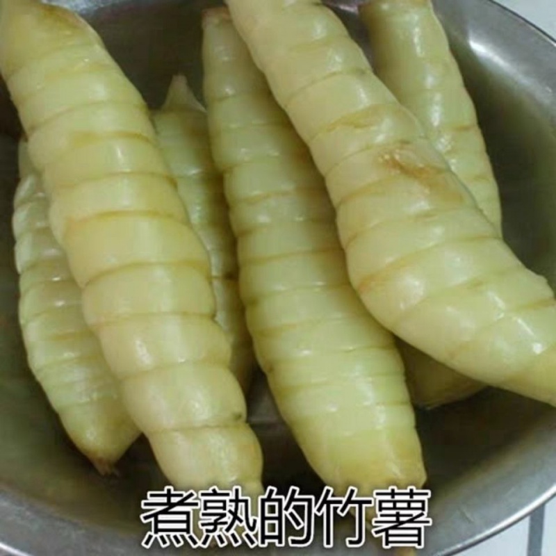 广东康仔生鲜竹薯 冬粉薯 竹薯 小竹根薯煲汤火锅底料同款 5斤