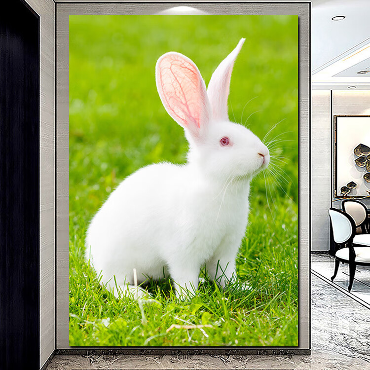 6厘米 pp背胶/裱膜较薄/背面撕掉可贴