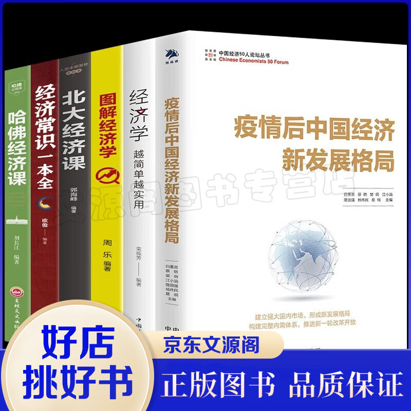 疫情后中国经济新发展格局 中国经济五十人