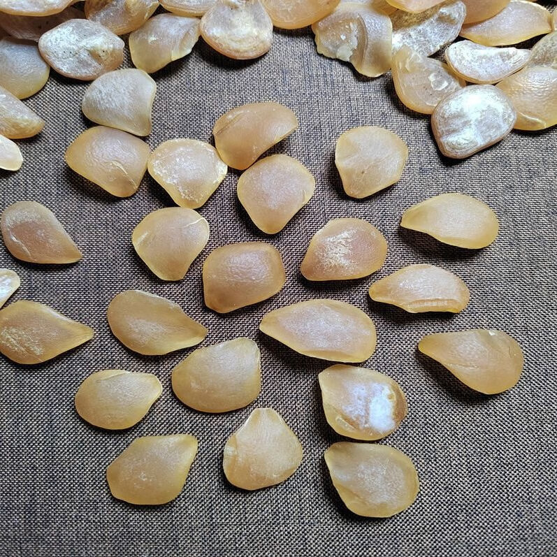 逸喜缘 保真鱼惊石喉骨打磨原料鱼喉骨真品大青鱼石吊坠 原料2-3克