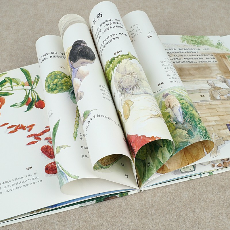 噢中草药(精)/家门外的自然课系列暑假阅读暑假课外书课外暑假自主阅读暑期假期读物