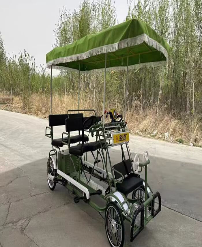 賢祥新款四輪多人騎腳踏自行車景點(diǎn)景區(qū)觀光自行車雙人四人帶篷單排雙 雙排（紅藍(lán)綠橙）