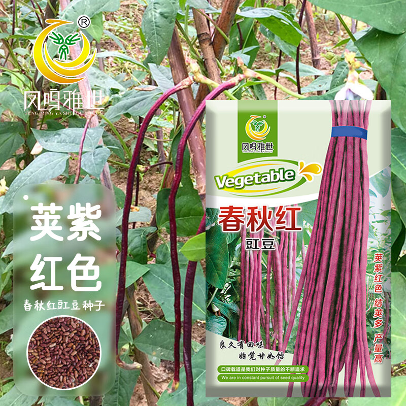 凤鸣雅世春秋红皮豆角种子四季早熟蔬菜种孑春秋红豇豆种子100克