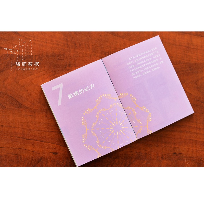 旖旎数据——100分钟读懂大数据详情图