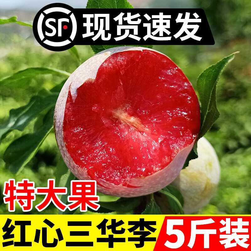 广东信宜钱排李子青李新鲜三月李当季孕妇水果酸红心李三华李整箱 1