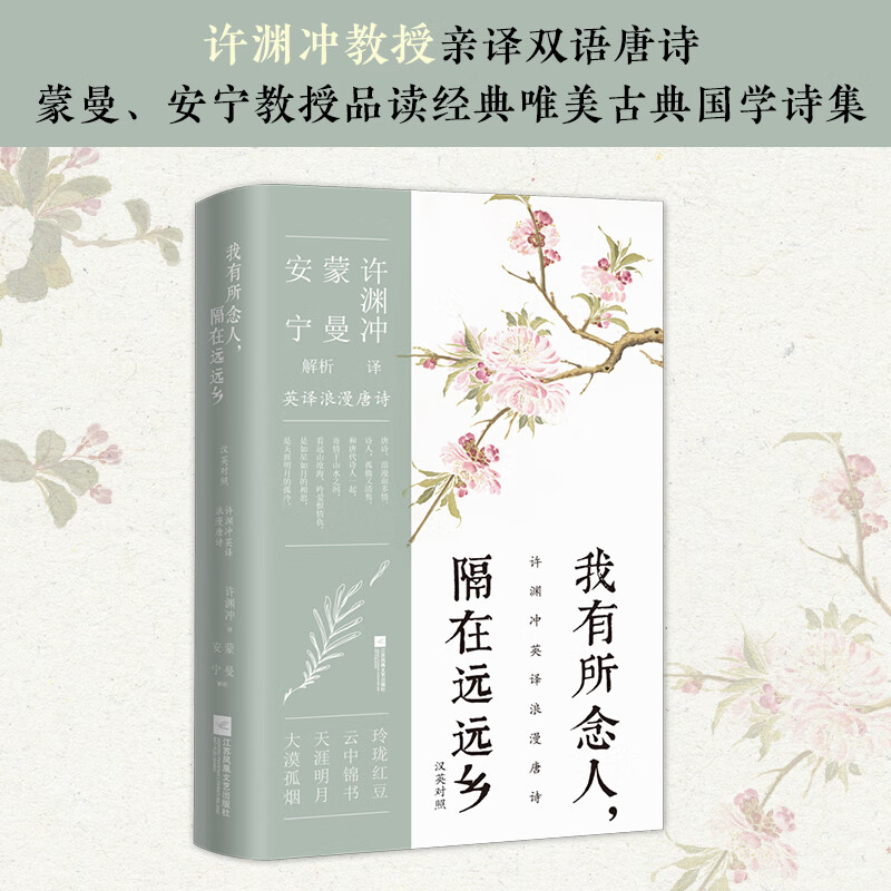 我有所念人,隔在远远乡:汉英对照(许渊冲英译挚美诗词)百岁翻译家的