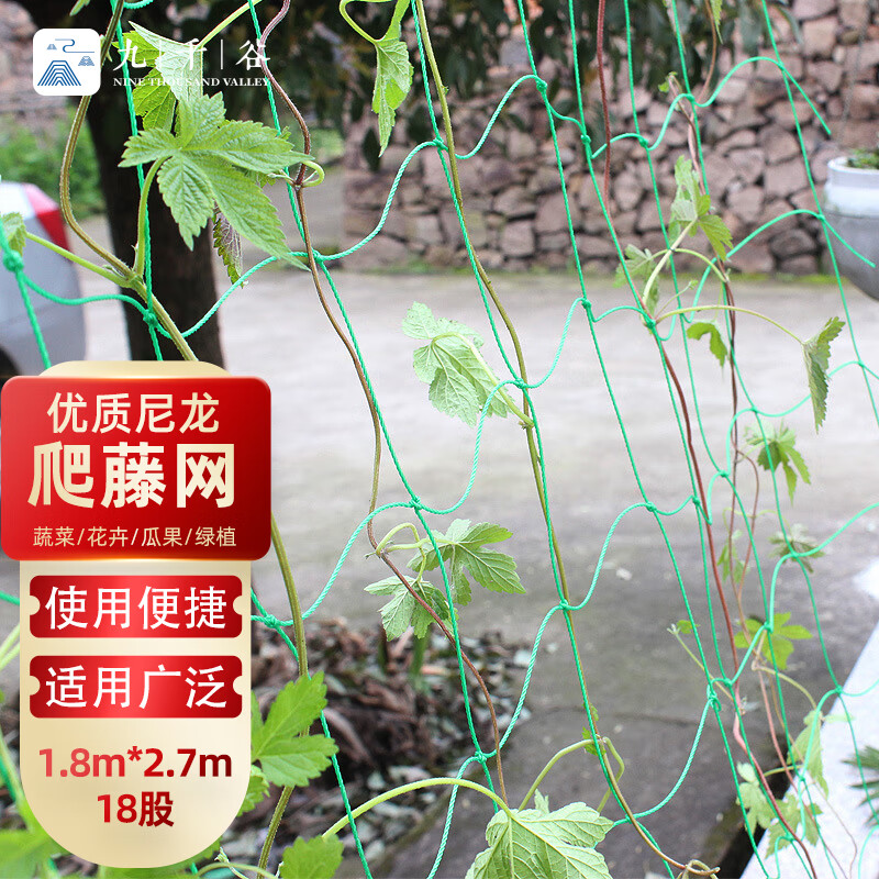 九千谷植物爬藤网蔬菜瓜类尼龙网支架网园艺藤网 1.8m*2.7m18股 J0215怎么样,好用不?