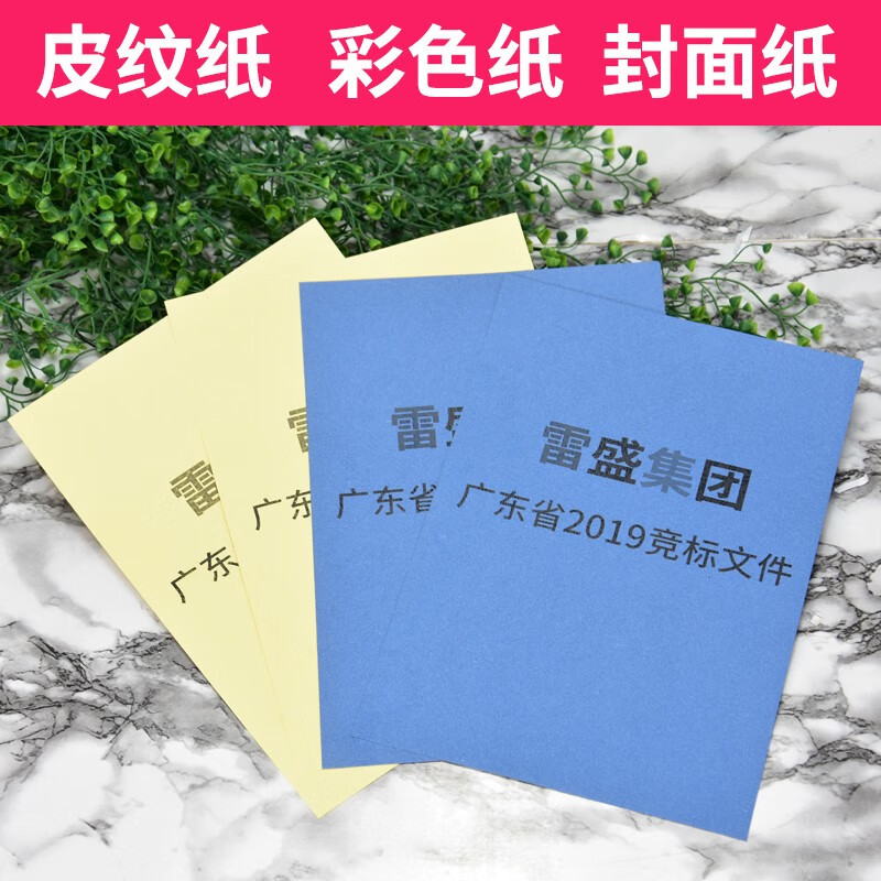 纸230g彩色装订彩卡纸云彩纸美纹纸标书封面纸雷盛(rayson) a4湖蓝 50