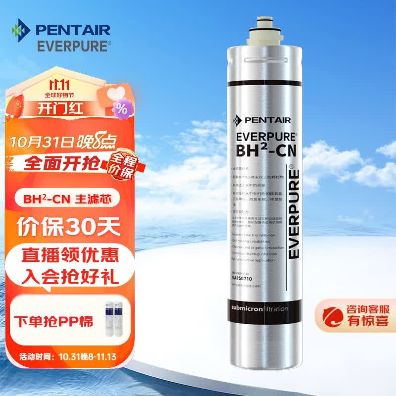 爱惠浦（Everpure）BH2净水器 无桶无废水-额定净水量1000L 5级过滤保留矿物质组合机 BH2滤芯高性价比高么？