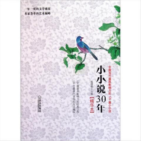 小小说30年:中国当代影响力的120篇小小说 杨晓敏 武汉出版社 epub格式下载