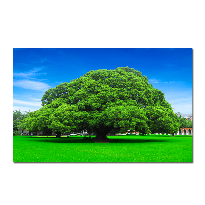 绿色大树树木贴画蓝天白云草地一棵大树自粘壁画客厅玄关挂画海报 s3